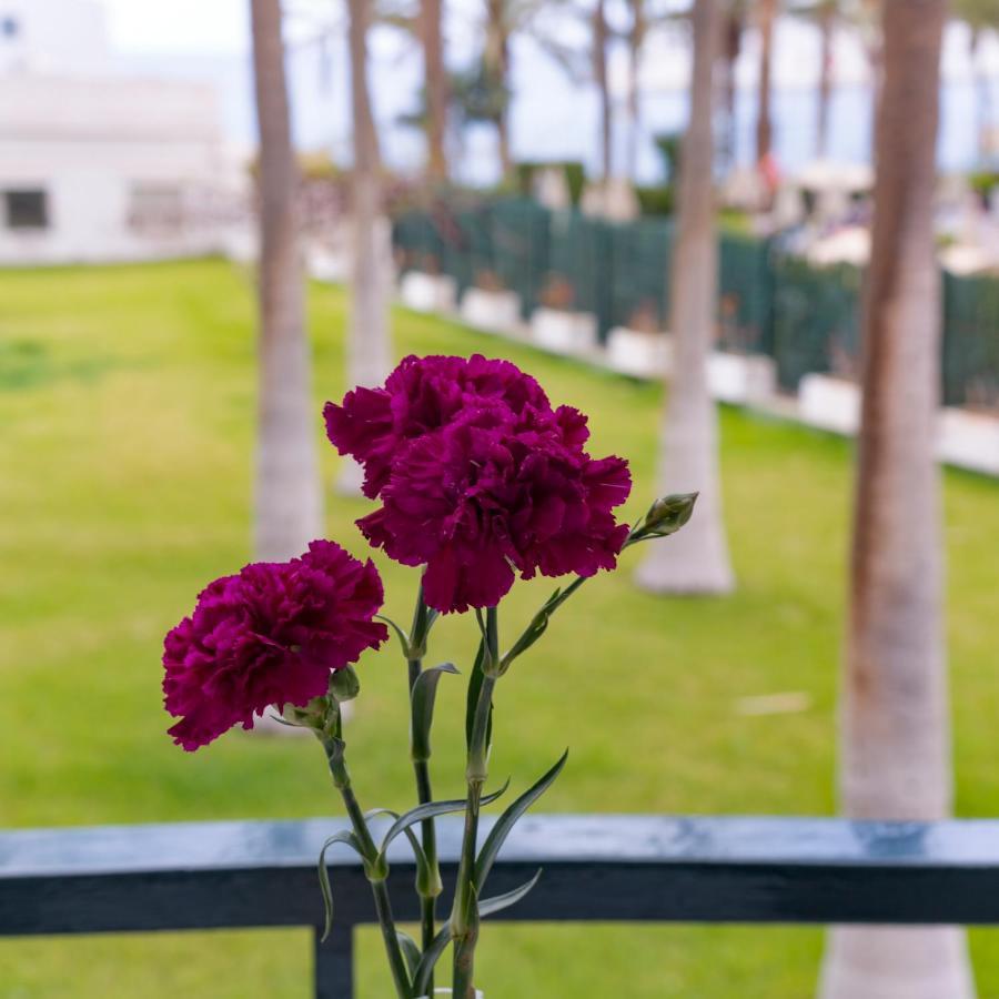 Studio Ocean Coast Los Cristianos Comodoro Luaran gambar